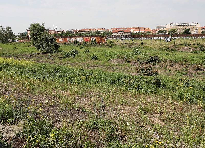 Pozemky mezi nádražím Holešovice a Vltavskou.