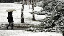 Páteční ráno 12. prosince Pražany překvapilo sněhovou nadílkou.  