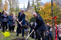 Prezident Petr Pavel s manželkou slavnostně vysadil na Pražském hradě poslední 90. Strom Olgy Havlové k jejím nedožitým 90. narozeninám.
