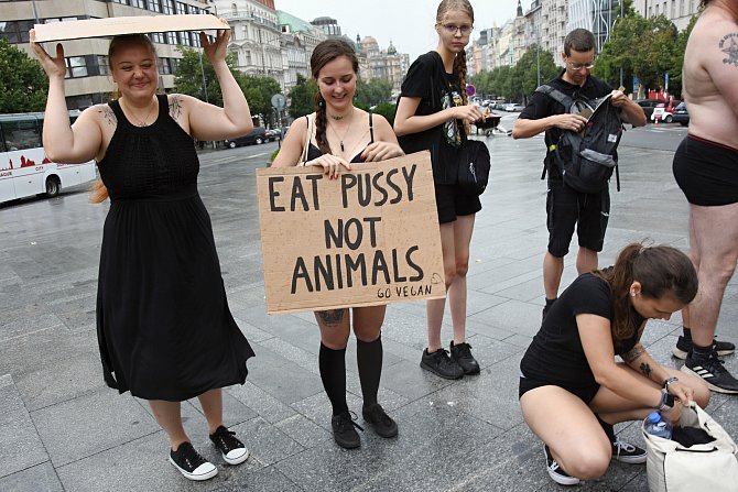 Demonstrace aktivistů ve spodním prádle upozorňujících v centru Prahy na práva zvířat, archivní foto z 29. července 2023. 