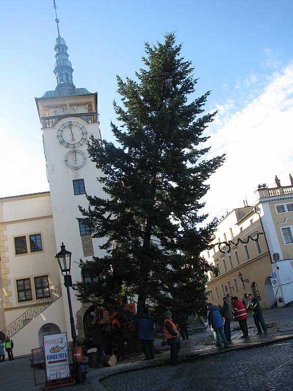 V Kroměříži vztyčili 23. listopadu 2009 vánoční strom.  