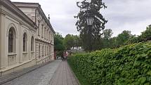Podzámecká zahrada v Kroměříži, 15. května 2021