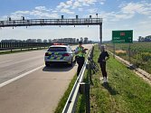 Opilá cyklistka jela po dálnici D1 u Hulína. Policistům tvrdila, že si spletla cestu; neděle 20. srpna 2023