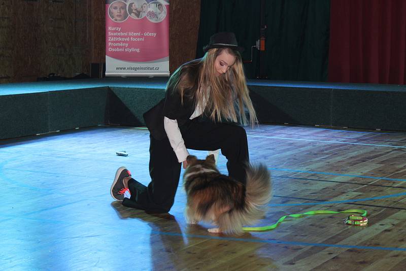 Vítězkami letošní Dívky roku se v holešovském TyMy centru staly Kristýna Němčeková, Nikol Vaculíková a Anhelina Morzhul. Titul Dívka talent si pak odnesla Anna Doleželová, Dívkou sympatie se stala už oceněná Nikol Vaculíková.