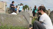Skupinka dobrovolníků z několika zemí světa už pár dnů dává do pořádku židovský hřbitov v Holešově. Úklidové práce tam provádějí při příležitosti právě probíhajícího Týdne židovské kultury.