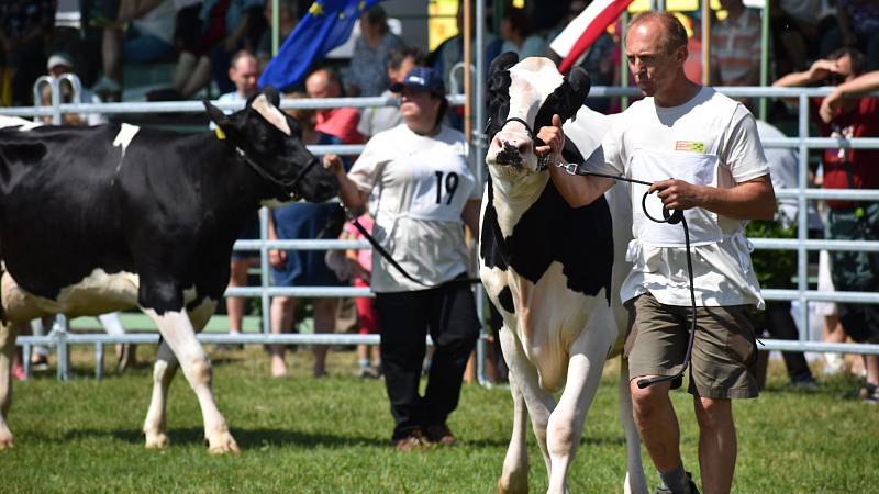 Zemědělská výstava v Kroměříži-Kotojedech. 11. června 2022.