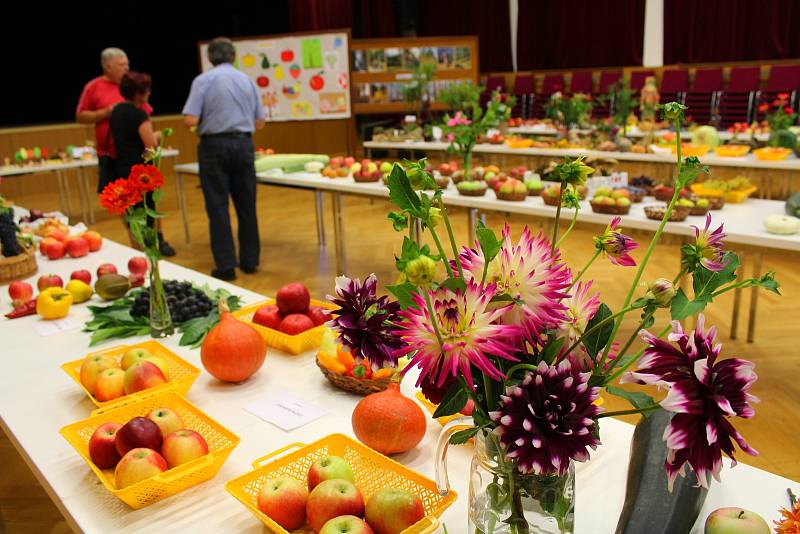 Výstava ovoce, zeleniny, včelích produktů a ostatních květin ve Zdounkách