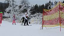 Troják, jediný aktuálně fungující ski areál, přilákal i ve čtvrtek dopoledne desítky milovníků lyžování. Na svahu se to hemžilo jak těmi ostřílenými, kteří spíše trénují na vyšší hory, tak i nejmenšími lyžaři.