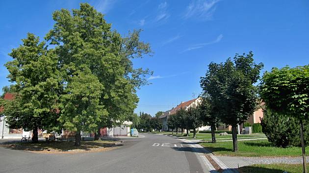 Žalkovice