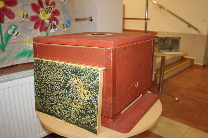 V Bystřici pod Hostýnem se konal už tradiční Medový den. Návštěvníci si mohli nejen medové výrobky koupit, ale i ochutnat.