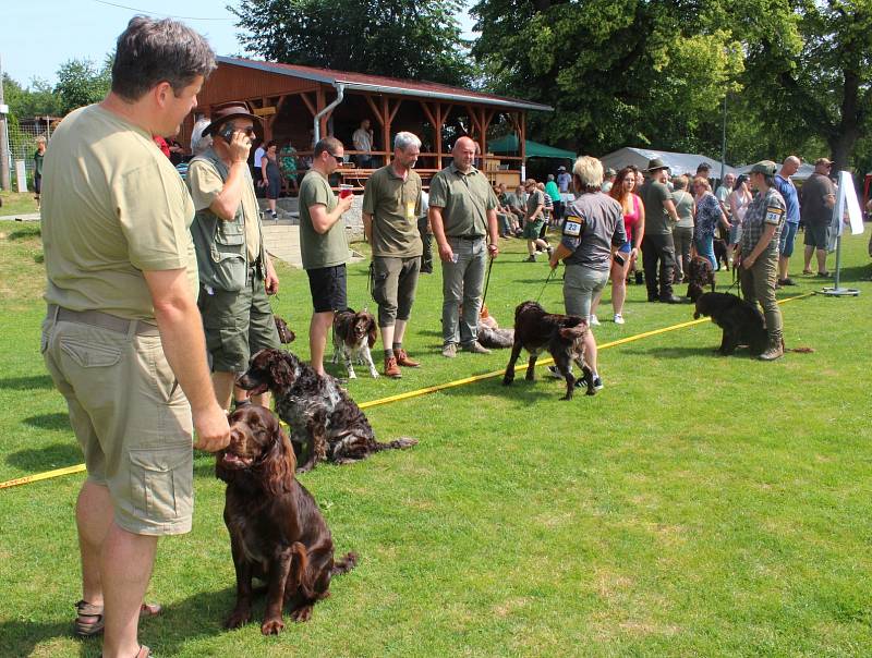 Klubová výstava německých křepeláků 2018 v Netčicích