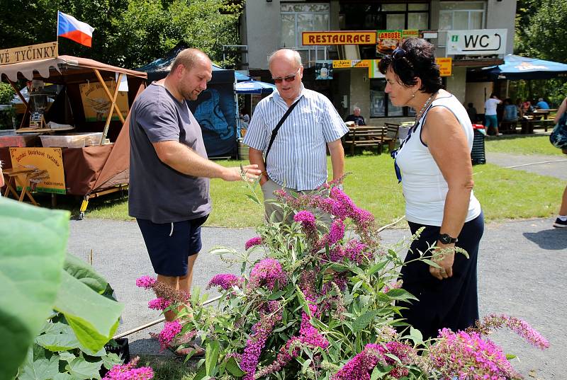 Zahradnická výstava ZAHRADA VĚŽKY. LÉTO 2019 - 1. - 4. 8. 2019