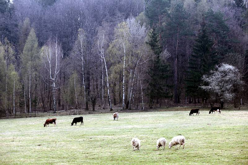 Farma v Cetechovicích.