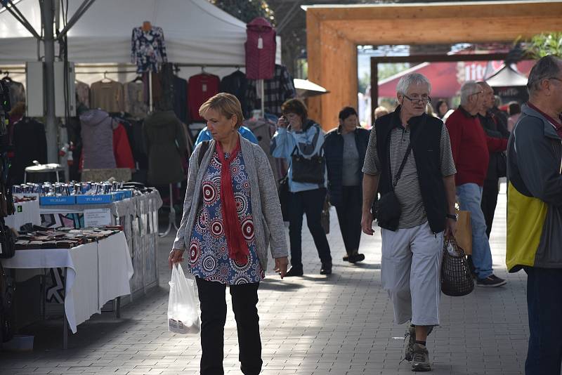 Podzimní výstava Floria Bonsaj na Výstavišti Kroměříž. 23. září 2022.