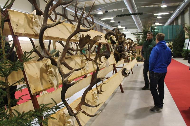 Druhý ročník celostátní prodejní výstavy myslivosti, rybářství a včelařství mohli ještě den před otevřením vidět školáci z Kroměřížska.