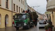 Vánoční strom se v Kroměříži rozsvítí ve čtvrtek 24. listopadu 2022.