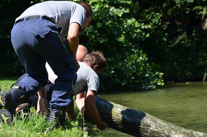 Hasiči v pilné spolupráci s rybáři odklízeli spadané stromy.