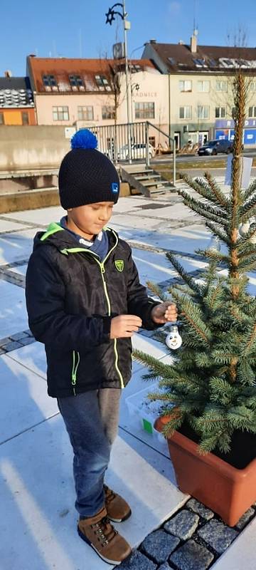 Hulínské náměstí zdobí velký vánoční strom a 26 malých stromečků.