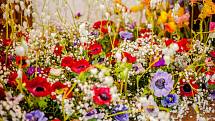 Na kroměřížském výstavišti začal v sobotu 30. dubna čtyřicátý ročník výstavy Floria Jaro: nabídl kromě tradičních květin také zajímavý doprovodný program.