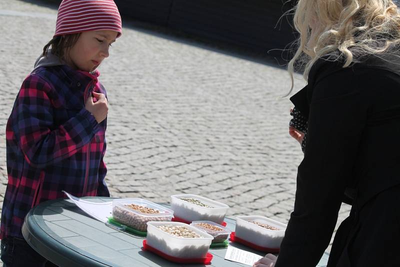 Děti z družin poznávaly ve středu odpoledne na kroměřížském náměstí byliny, stromy, luštěniny ale třeba i nebezpečný odpad v rámci osvěty Dne Země, který bude v pátek.