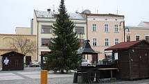 Nový vánoční strom v Holešově.