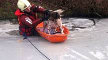Záchrana psa ze zamrzlého rybníka na Rusavě