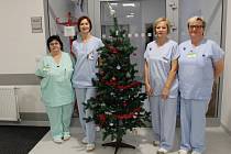 SMĚNA NA ŠTĚDRÝ DEN. Sestry z Hemodialyzačního střediska Kroměřížské nemocnice musí do práce i na Štědrý den.