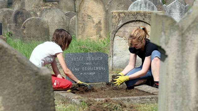 Dobrovolníci při práci na židovském hřbitově v Holešově.