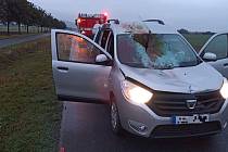 Řidiči v Holešově skočila předním oknem do auta srna. Řidič vyvázl bez zranění, zvíře náraz nepřežilo; úterý 10. října 2023