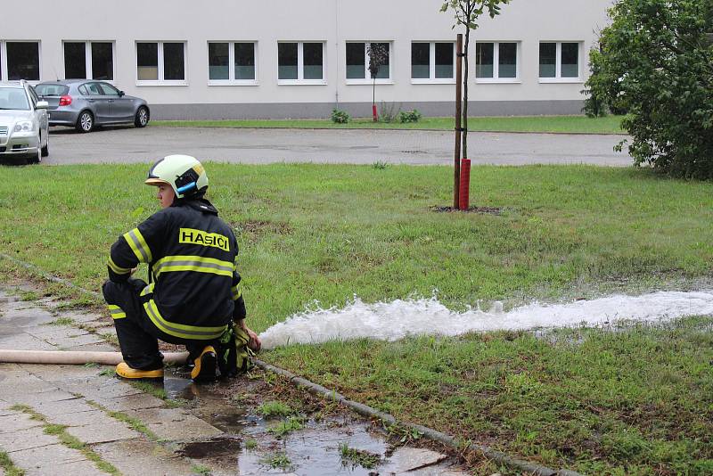 Povodně, Trávník.