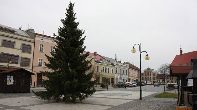Nový vánoční strom v Holešově.