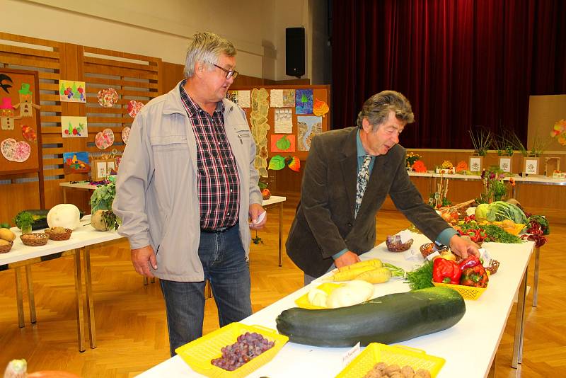 V neděli 1. října 2017 se v Domě kultury ve Zdounkách konala výstava ovoce, zeleniny a včelích produktů a soutěžní výstava jiřin a ostatních květin.