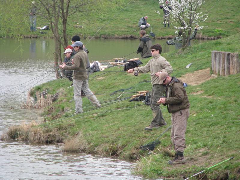 Na přehradě v Jestřabicích se 12 dubna konal jarní maratón v rybářských závodech v muškaření.