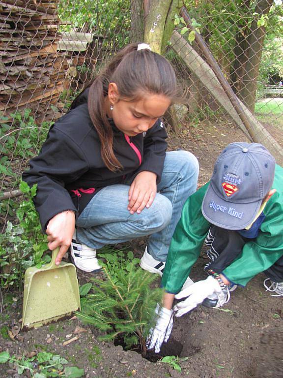 Zdounecká základní škola se ve středu 21. září 2011 připojila k Mezinárodnímu dni míru. Při jeho příležitosti na prvním i druhém stupni vysadili několik smrků ztepilých.