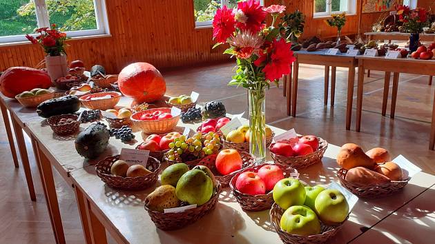 Výstava ovoce, zeleniny a včelích produktů ve Zdounkách.