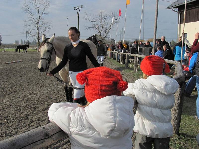 V Pravčicích oslavovali 28. října 2011 uplynutí padesáti let od založení prvního místního jezdeckého klubu.