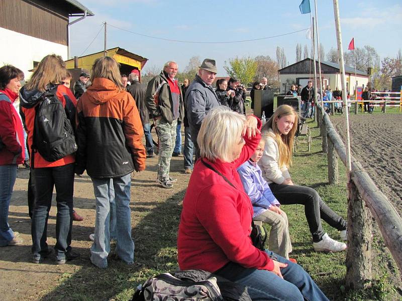 V Pravčicích oslavovali 28. října 2011 uplynutí padesáti let od založení prvního místního jezdeckého klubu.