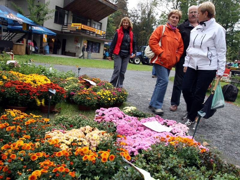 Výstava Zahrada podzim 2014 v obci Věžky.