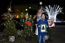 Holešovské náměstí zdobí NEJ vánoční stromečky.
