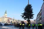 Vánočního stromu se už dočkala i Kroměříž: devítimetrový smrk pichlavý na tamním Velkém náměstí vztyčili v pátek 1. prosince dopoledne.