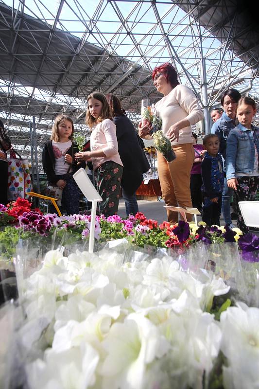 Floria 2019 na výstavišti v Kroměříži.