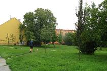 V parku na ulici Elišky Krásnohorské v Kroměříži by mělo vyrůst Rákosníčkovo hřiště společnosti Lidl.