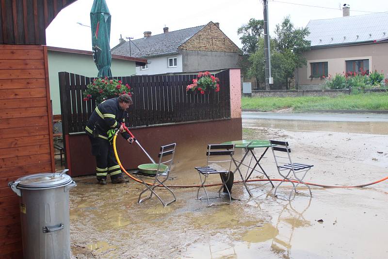 Povodně, Trávník.