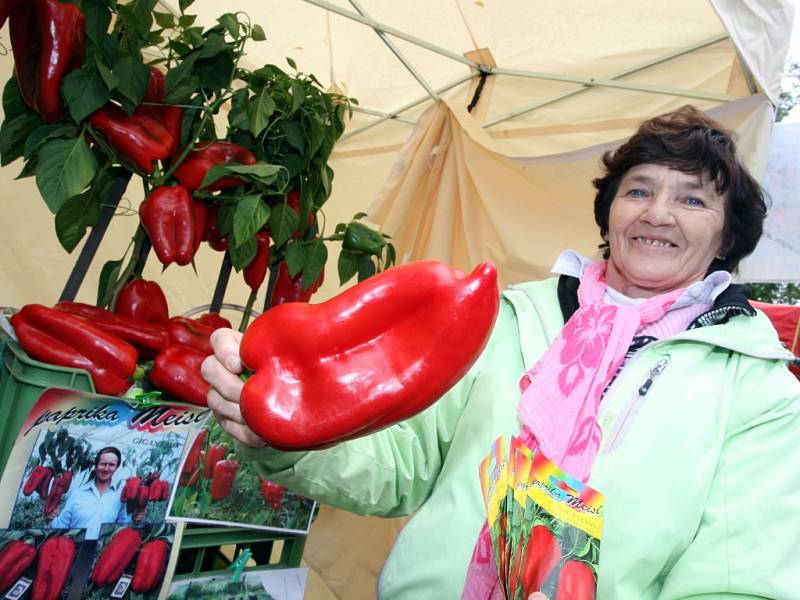 Výstava Zahrada podzim 2014 v obci Věžky.