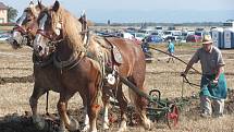 V sobotu 24. září 2011 se v Kroměříži, konkrétně na pozemcích Agrodružstva Postoupky, konalo Mistrovství České republiky v orbě. Mimo hlavní soutěž v orbě traktory a koňskými spřeženími, proběhla také soutěž v orbě malou, domácí mechanizací.