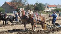 V sobotu 24. září 2011 se v Kroměříži, konkrétně na pozemcích Agrodružstva Postoupky, konalo Mistrovství České republiky v orbě. Mimo hlavní soutěž v orbě traktory a koňskými spřeženími, proběhla také soutěž v orbě malou, domácí mechanizací.
