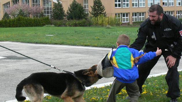 Poslouchat se musí. Do kroměřížské nemocnice zavítala ve čtvrtek městská policie, aby předvedla dětem z ortoptického oddělení své cvičené psy. Tři pejskové před dětmi předvedli třeba štěkání na povel nebo zastavení pachatele.