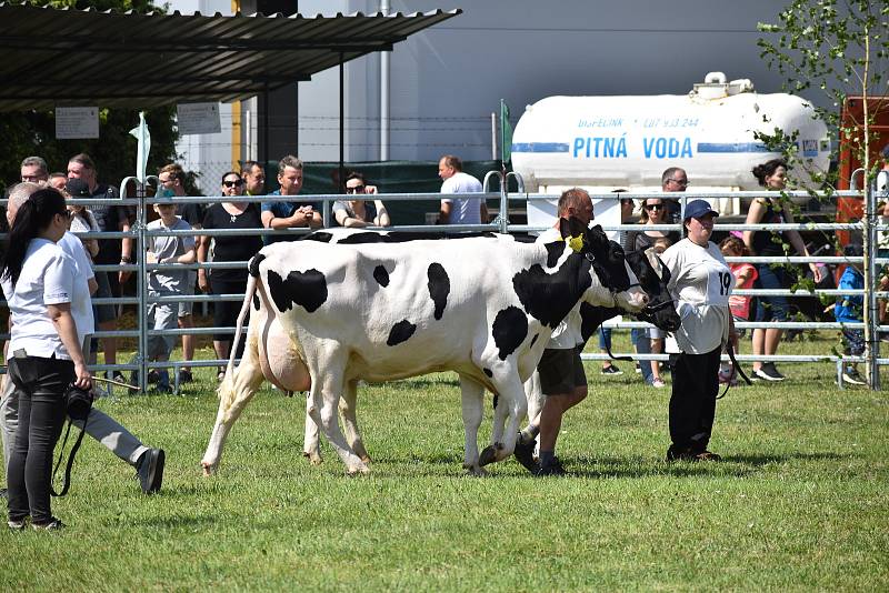 Zemědělská výstava v Kroměříži-Kotojedech. 11. června 2022.