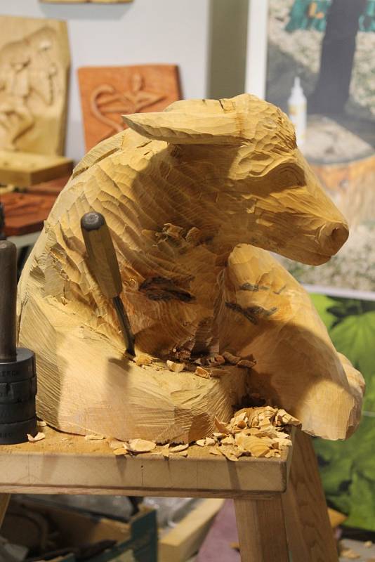 V rámci výstavy Floria Vánoce 2016 lidé mohli obdivovat krásně nazdobené stromečky, hlasovat pro ten nejkrásnější, ale také zkusit ruční výrobu ze dřeva.