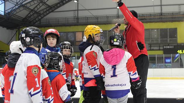Všech devět klubů kraje se zapojí během tohoto týdne do již šestého ročníku projektu Týden hokeje, který má za cíl představit nejmenším dětem lední hokej.